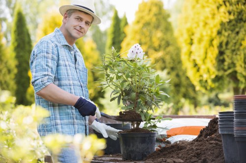 Seasonal lawn care practices in Osterley